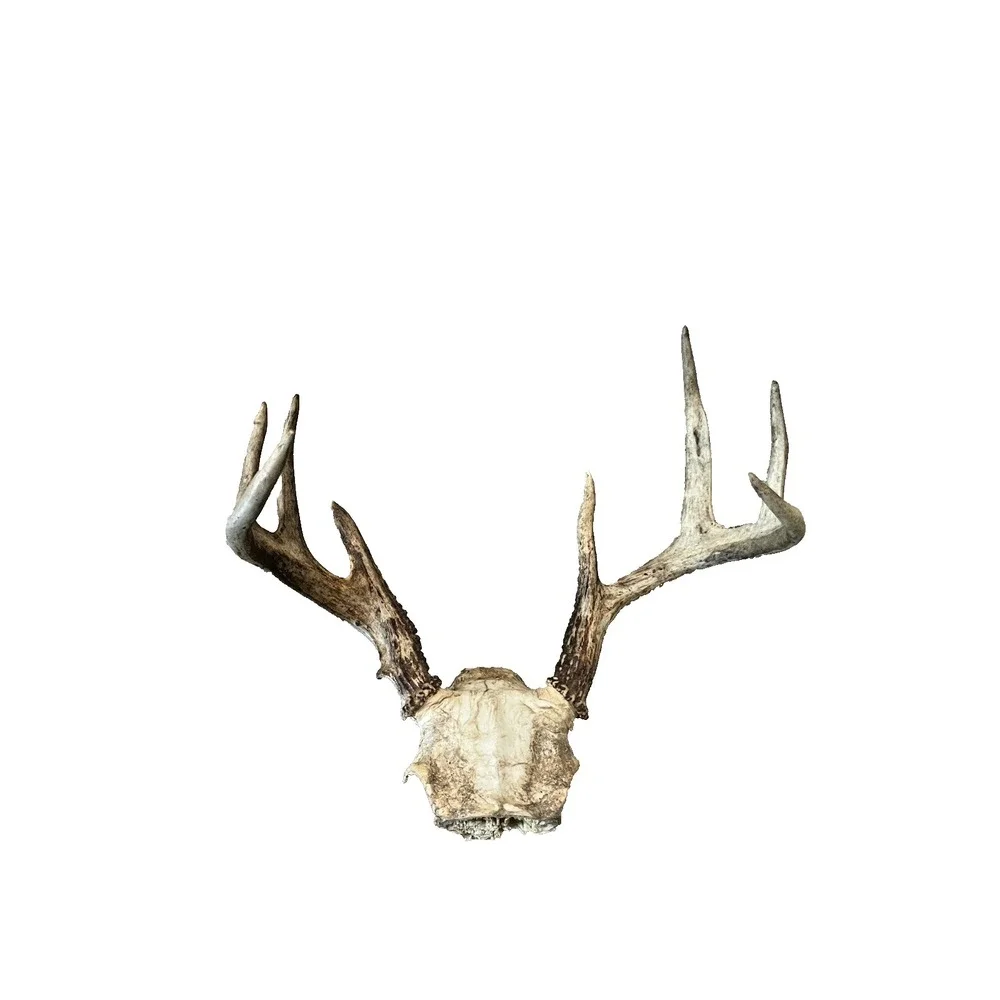 The Unbranded Brand vtg deer